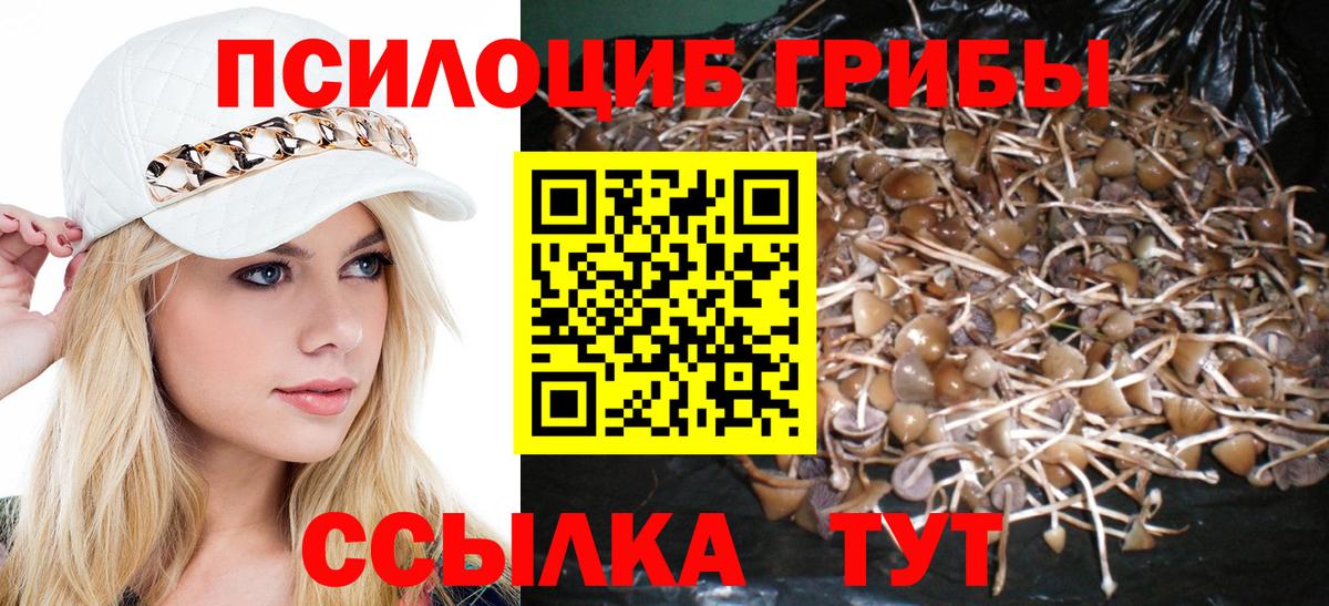 Псилоцибиновые грибы Cubensis  цены   Кореновск  Галлюциногенные грибы мицелий  Вход с VPN 