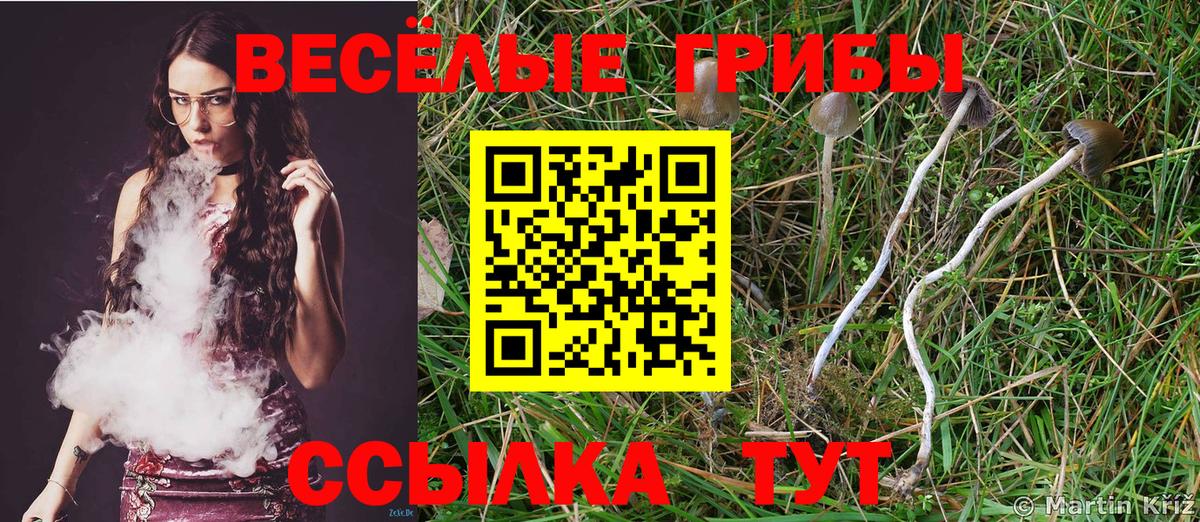 Галлюциногенные грибы ЛСД  Кореновск 