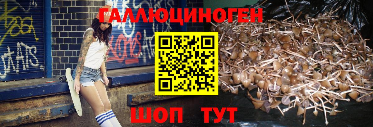 Галлюциногенные грибы мицелий Кореновск