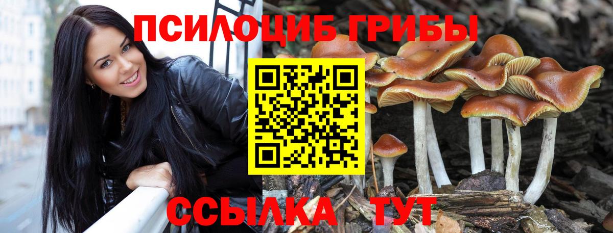 Псилоцибиновые грибы Magic Shrooms Кореновск